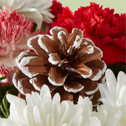 Candy Cane Lane Bouquet – BUZ N' BEE FLORIST GIFT & NURSERY, Clinton LA