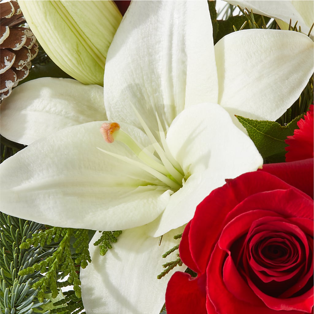 Oh So Jolly Bouquet – BUZ N' BEE FLORIST GIFT & NURSERY, Clinton LA