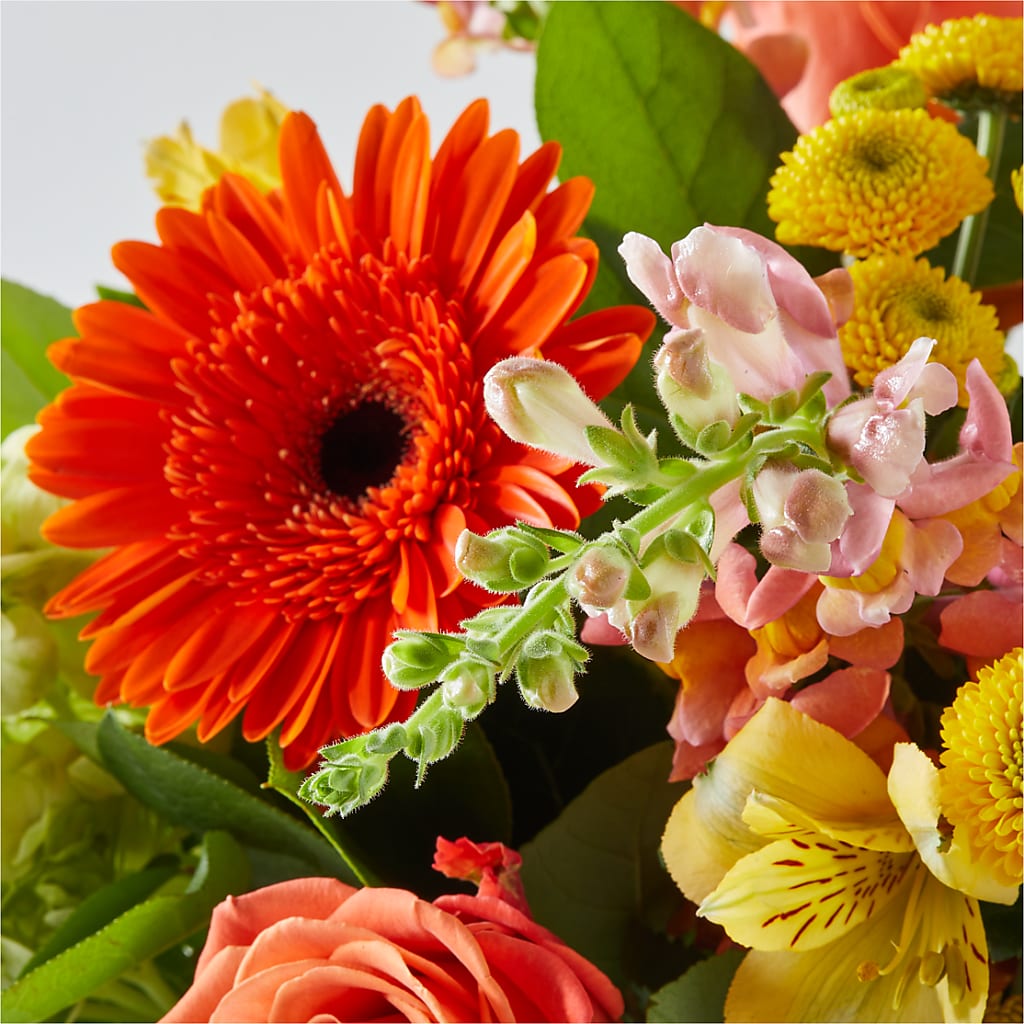Autumn Sunshine Bouquet – BUZ N' BEE FLORIST GIFT & NURSERY, Clinton LA