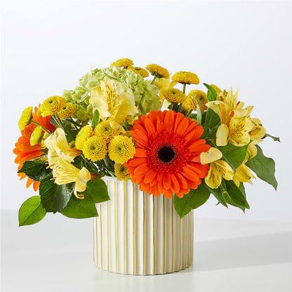 Autumn Sunshine Bouquet with Ivory Vase – BUZ N' BEE FLORIST GIFT & NURSERY, Clinton LA