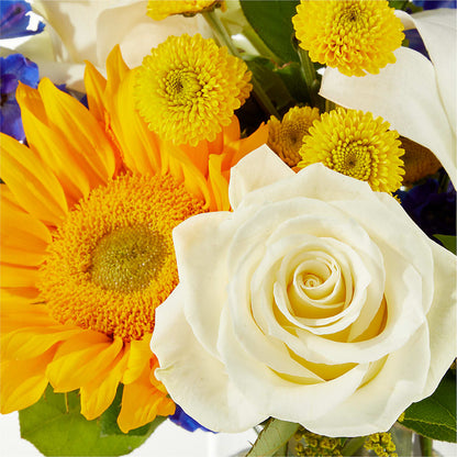 Stargazing Bouquet – BUZ N' BEE FLORIST GIFT & NURSERY, Clinton LA