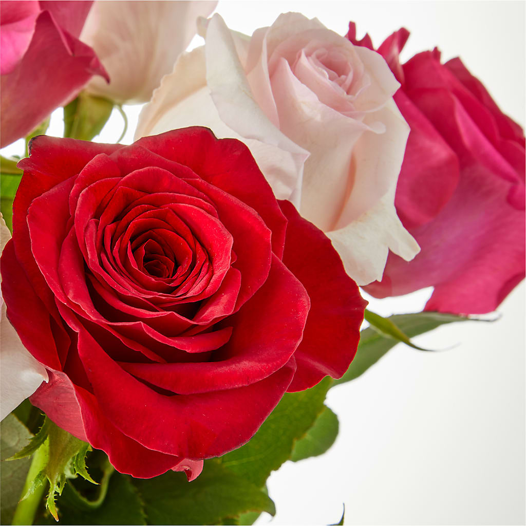 Charming Rose Bouquet – BUZ N' BEE FLORIST GIFT & NURSERY, Clinton LA