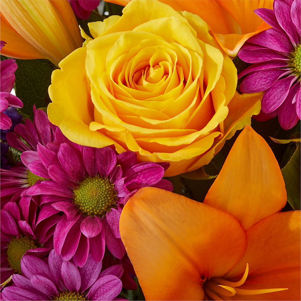 Colorful Visions Bouquet – BUZ N' BEE FLORIST GIFT & NURSERY, Clinton LA