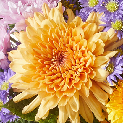 Countryside Bouquet – BUZ N' BEE FLORIST GIFT & NURSERY, Clinton LA
