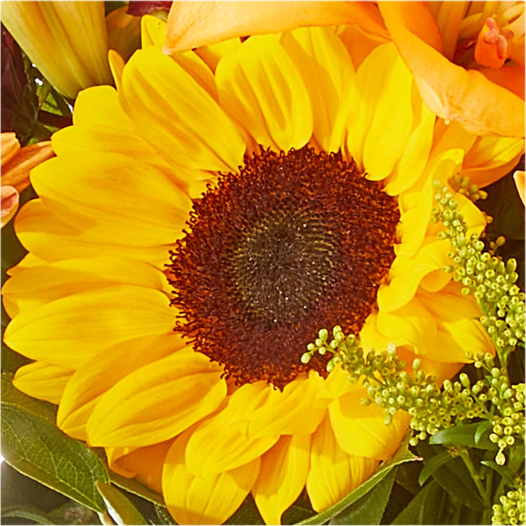 Seasons Change Bouquet – BUZ N' BEE FLORIST GIFT & NURSERY, Clinton LA