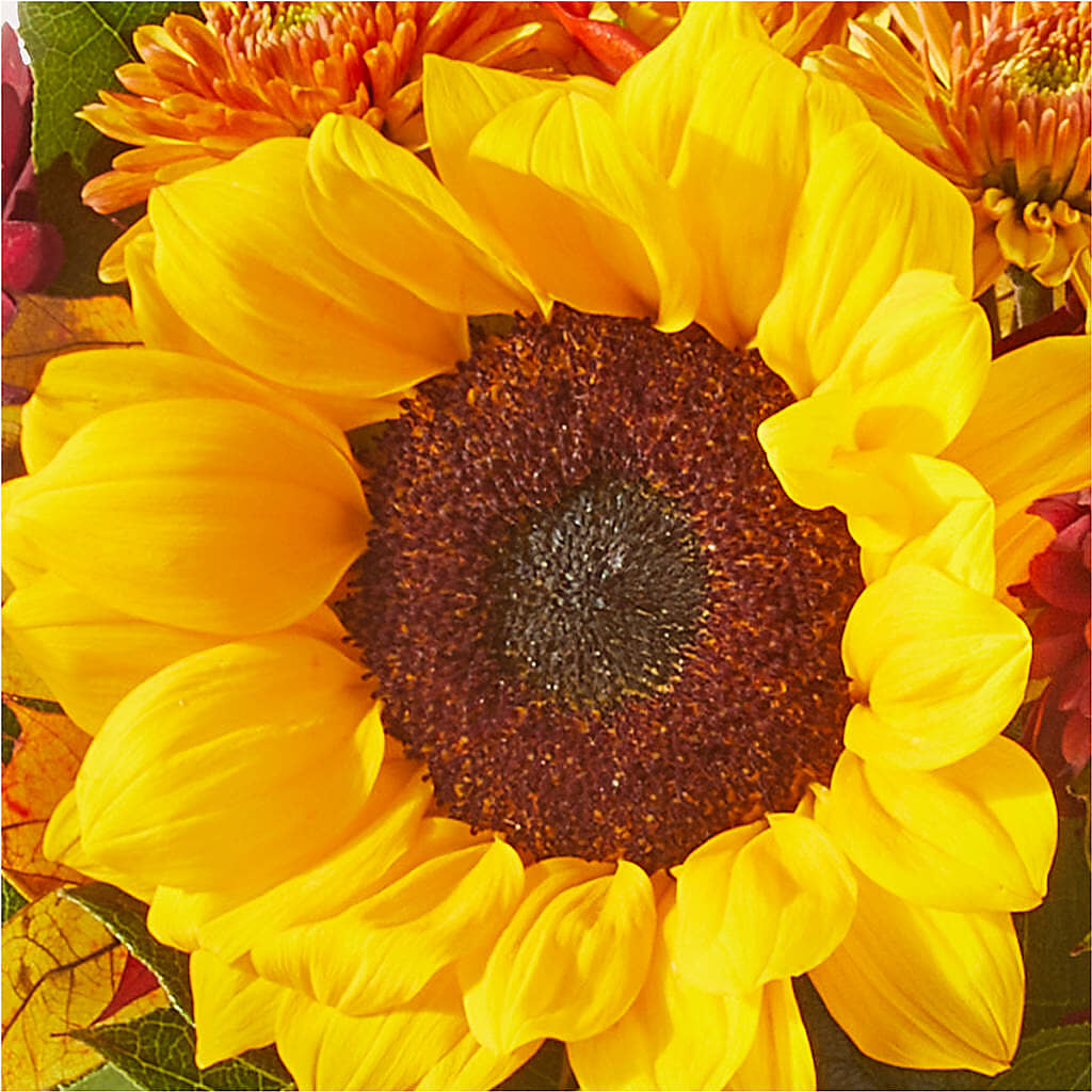 Sunny Side Bouquet – BUZ N' BEE FLORIST GIFT & NURSERY, Clinton LA