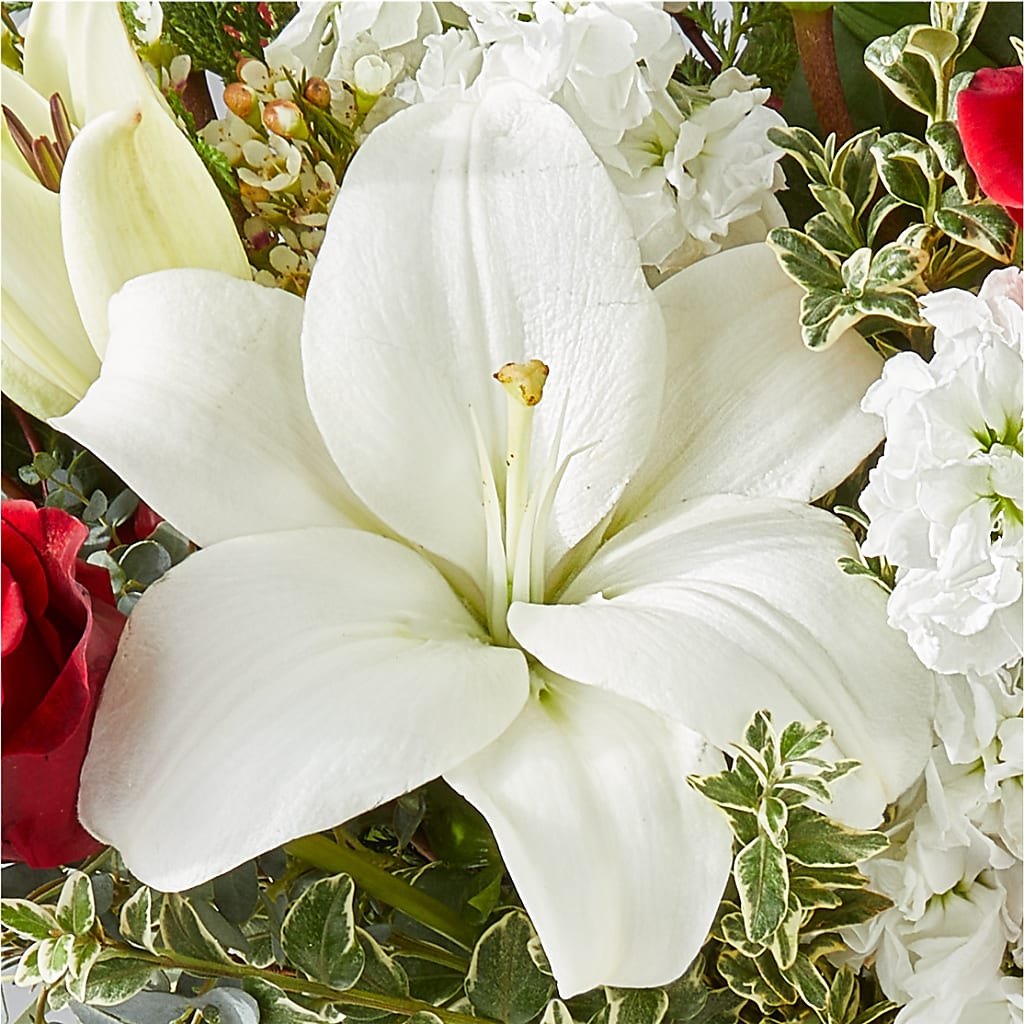 Twinkle Lights Bouquet – BUZ N' BEE FLORIST GIFT & NURSERY, Clinton LA