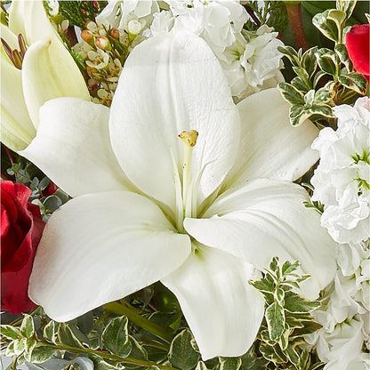 Twinkle Lights Bouquet – BUZ N' BEE FLORIST GIFT & NURSERY, Clinton LA