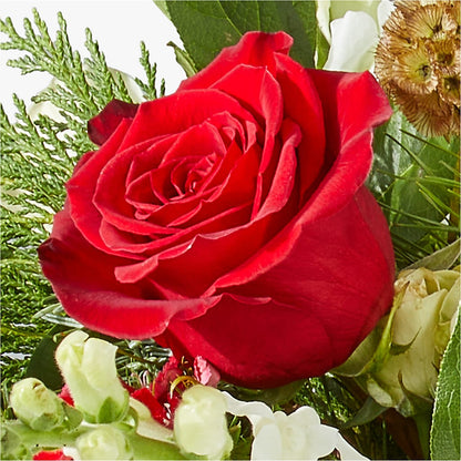 Deck the Halls Bouquet – BUZ N' BEE FLORIST GIFT & NURSERY, Clinton LA