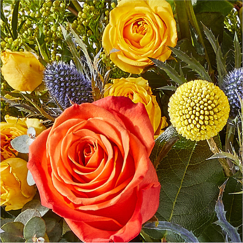Disco Bouquet – BUZ N' BEE FLORIST GIFT & NURSERY, Clinton LA