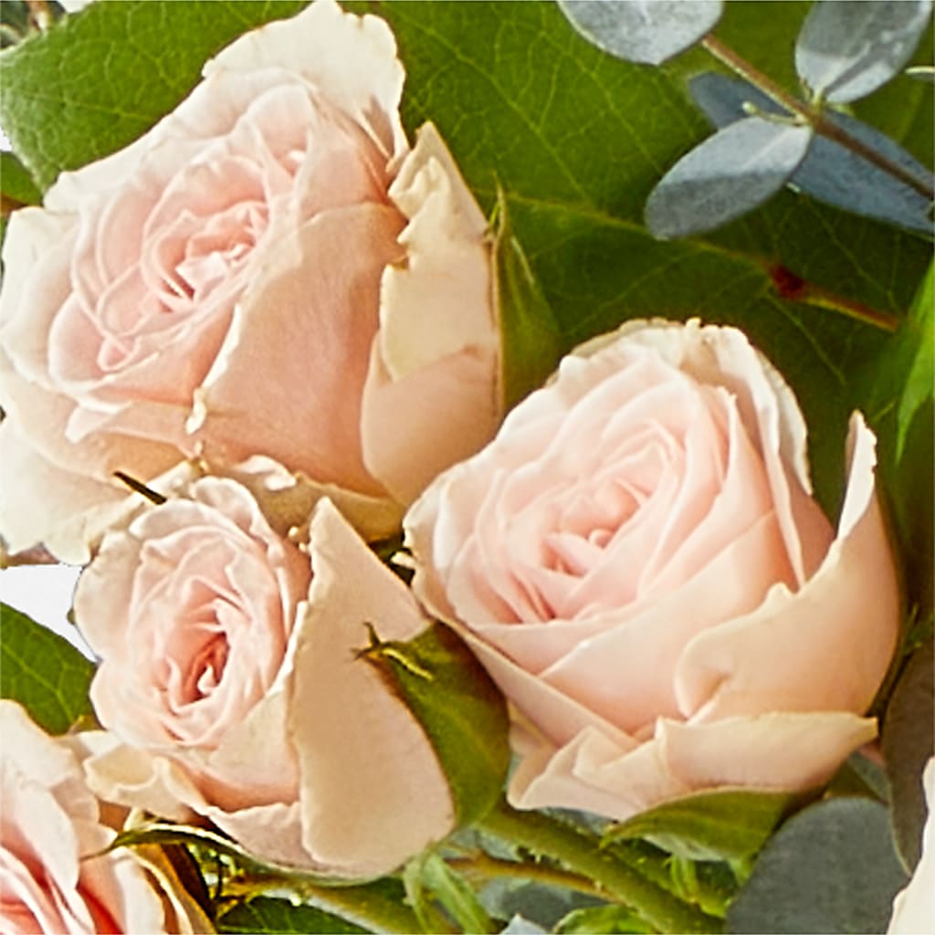 Inspired Bouquet – BUZ N' BEE FLORIST GIFT & NURSERY, Clinton LA