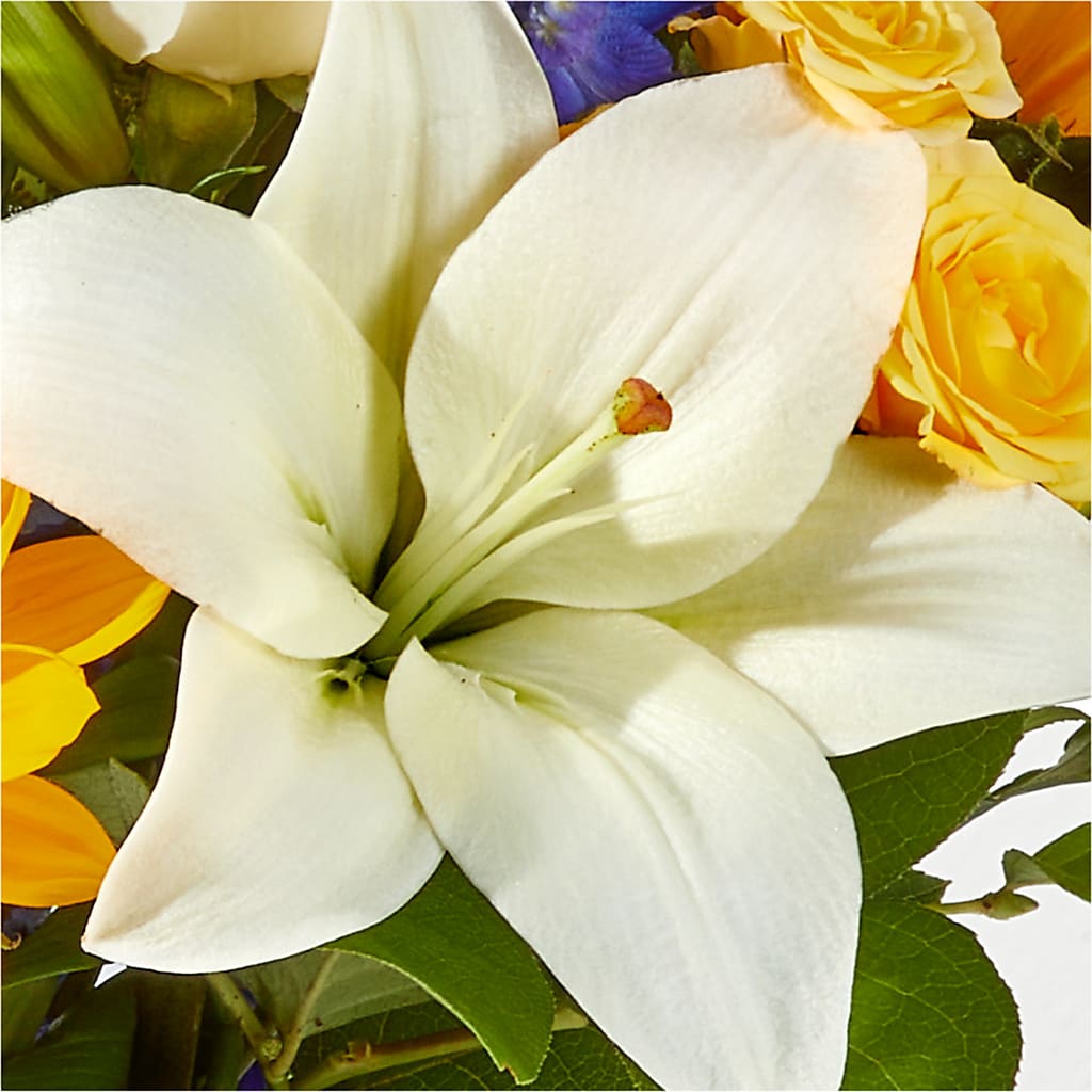 Wonderfully Sunny Bouquet – BUZ N' BEE FLORIST GIFT & NURSERY, Clinton LA