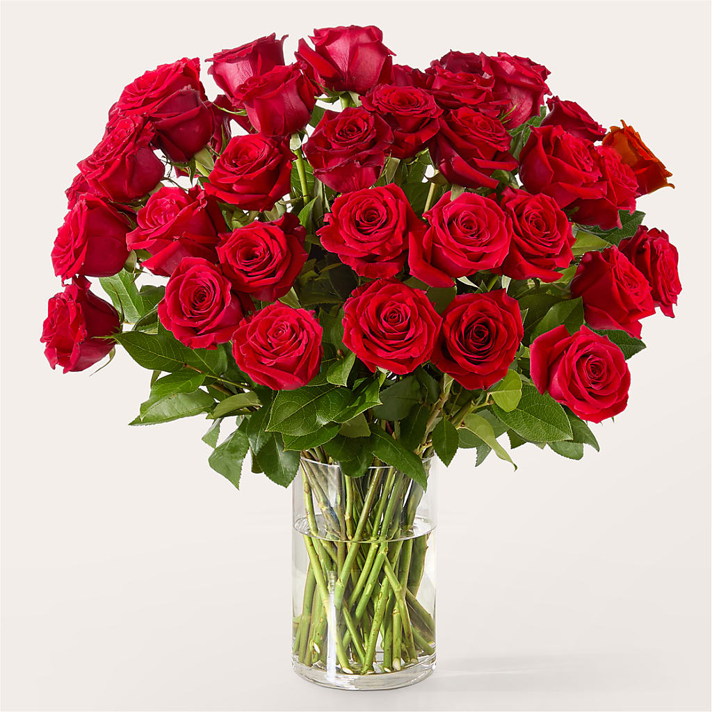 The One Red Rose Bouquet – BUZ N' BEE FLORIST GIFT & NURSERY, Clinton LA