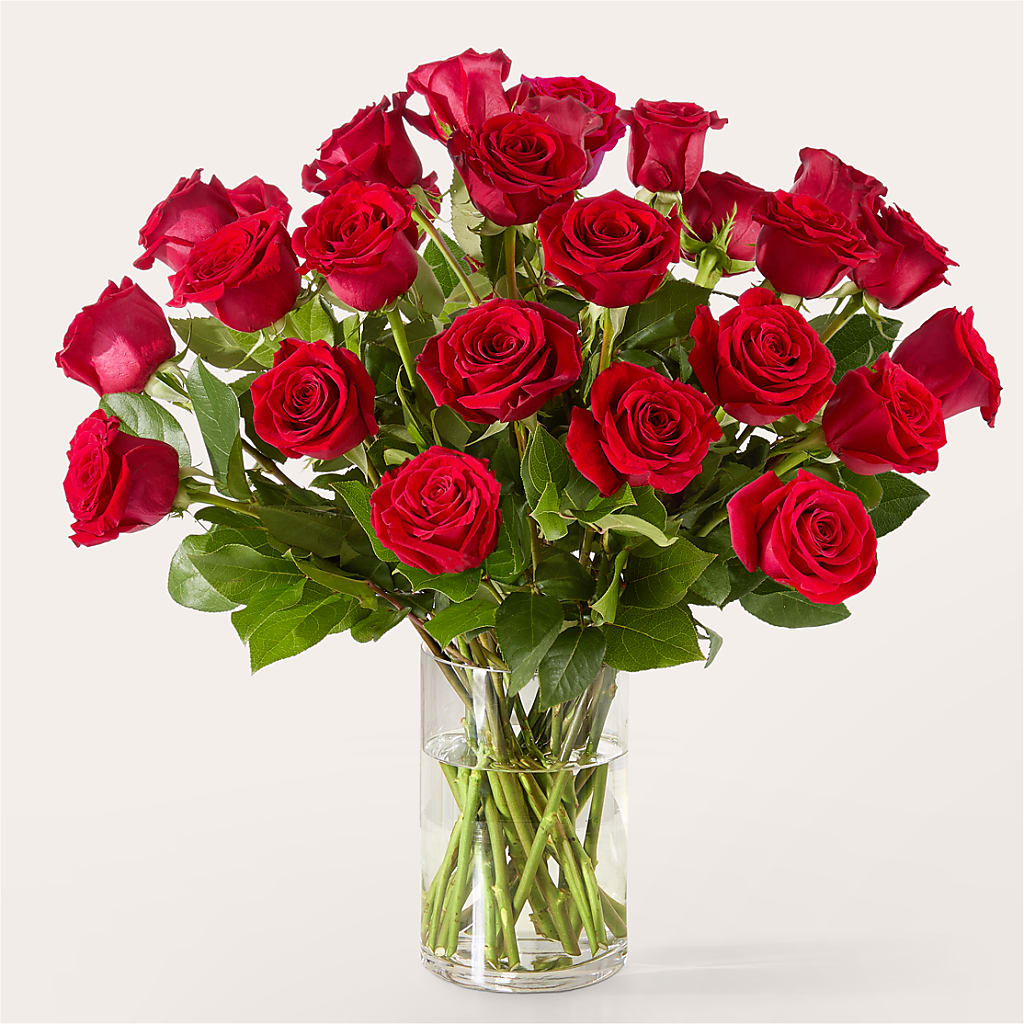 The One Red Rose Bouquet – BUZ N' BEE FLORIST GIFT & NURSERY, Clinton LA