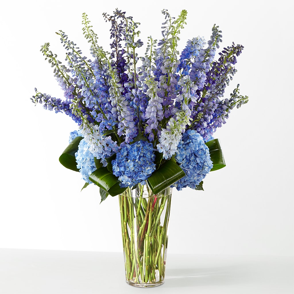The Editorial – BUZ N' BEE FLORIST GIFT & NURSERY, Clinton LA