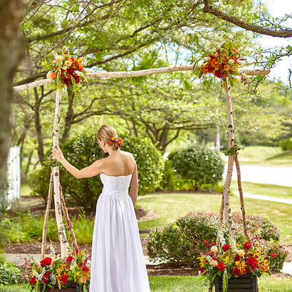Arbor of Love Archway – BUZ N' BEE FLORIST GIFT & NURSERY, Clinton LA