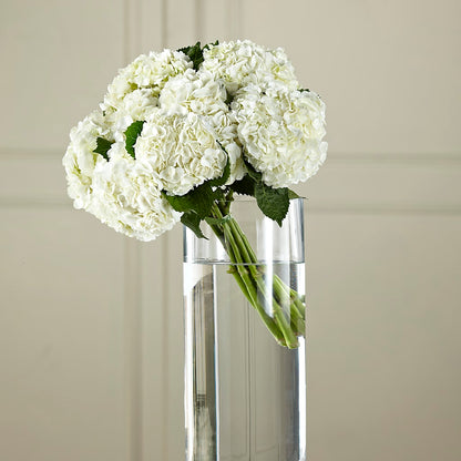 White Hydrangea Hand-Tied Bouquet – BUZ N' BEE FLORIST GIFT & NURSERY, Clinton LA
