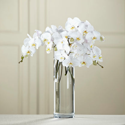 White Phalaenopsis Bouquet – BUZ N' BEE FLORIST GIFT & NURSERY, Clinton LA