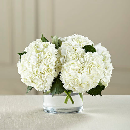 White Hydrangea Bouquet – BUZ N' BEE FLORIST GIFT & NURSERY, Clinton LA